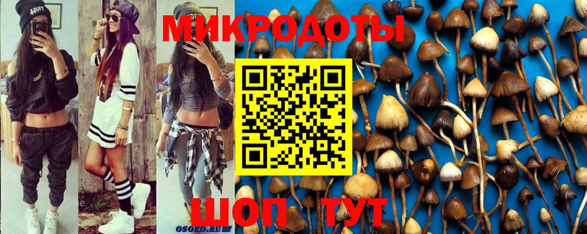 Псилоцибиновые грибы мицелий Таганрог