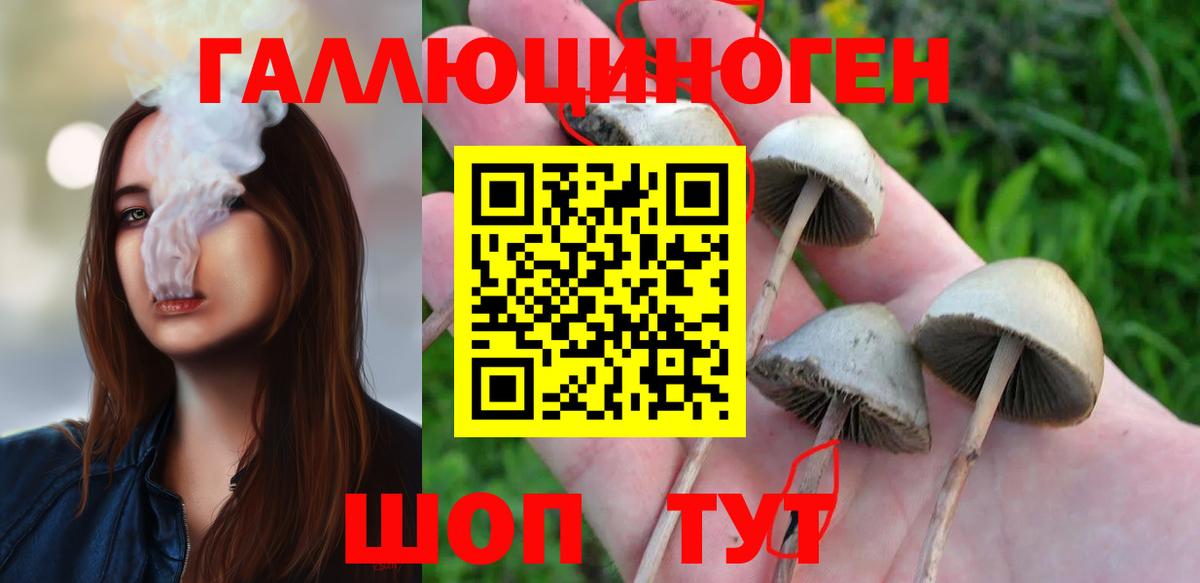 Псилоцибиновые грибы Psilocybine cubensis  Галлюциногенные грибы Magic Shrooms  Таганрог  Вход с VPN 
